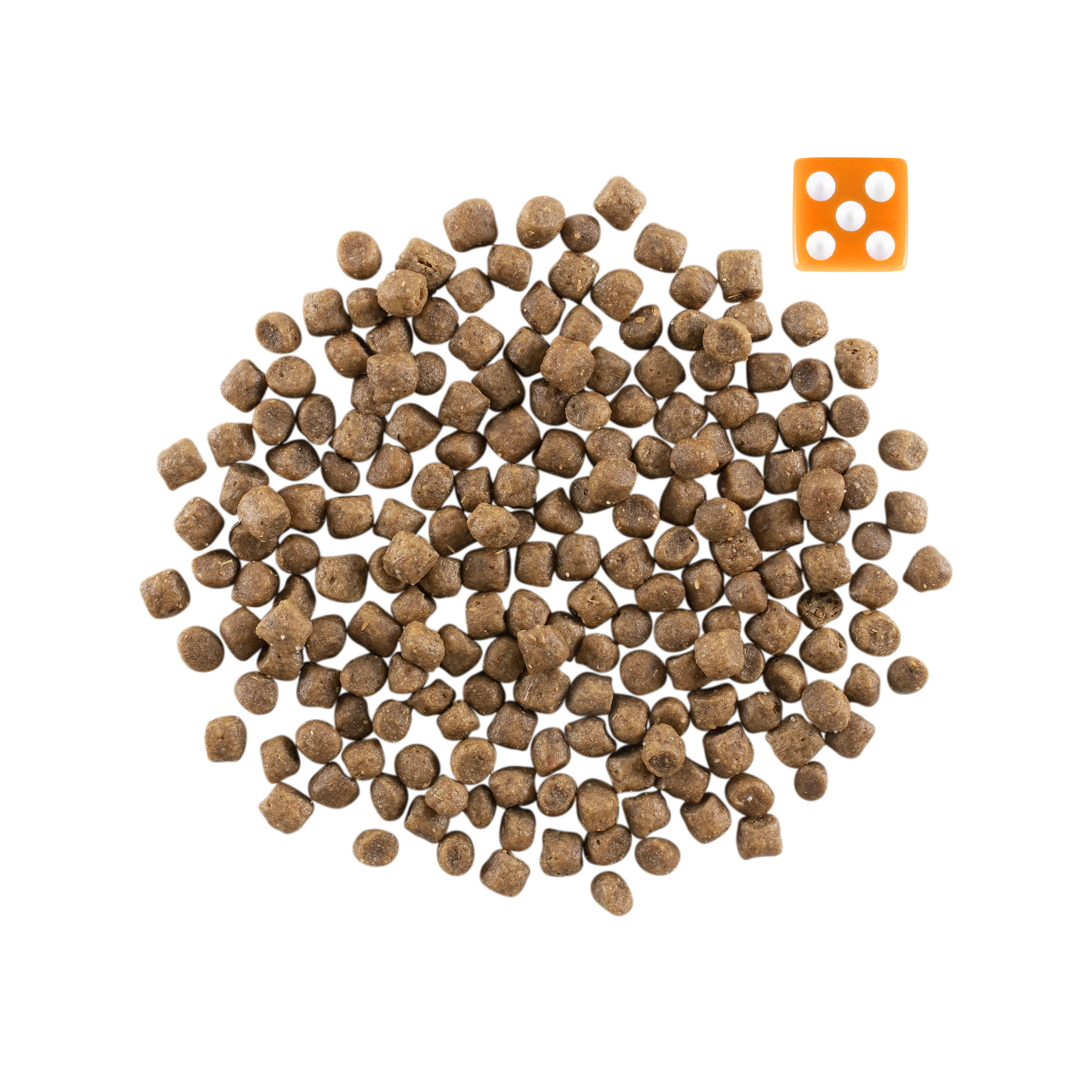 go! SOLUTIONS（ゴー ソリューションズ） CATドライ | ネイチャー